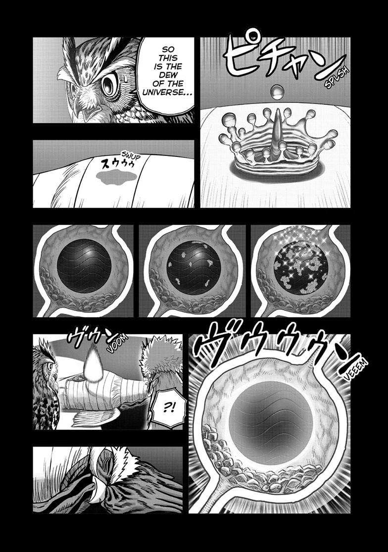 Read Rooster Fighter Manga Online