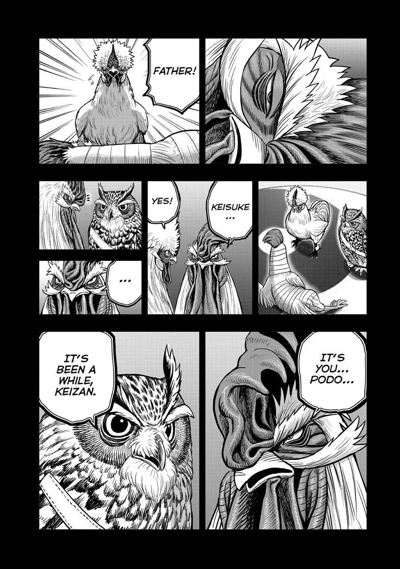 Read Rooster Fighter Manga Online
