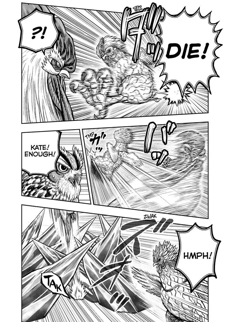 Read Rooster Fighter Manga Online