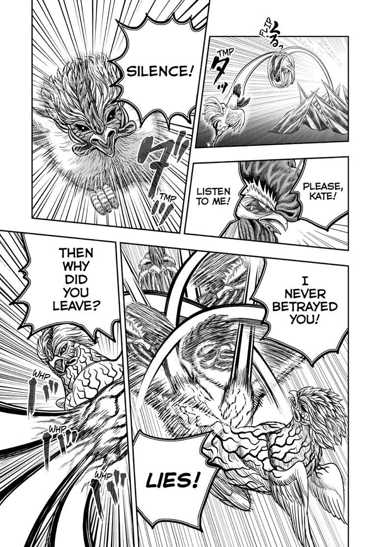 Read Rooster Fighter Manga Online