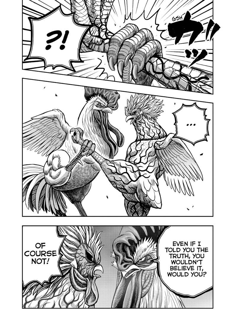 Read Rooster Fighter Manga Online