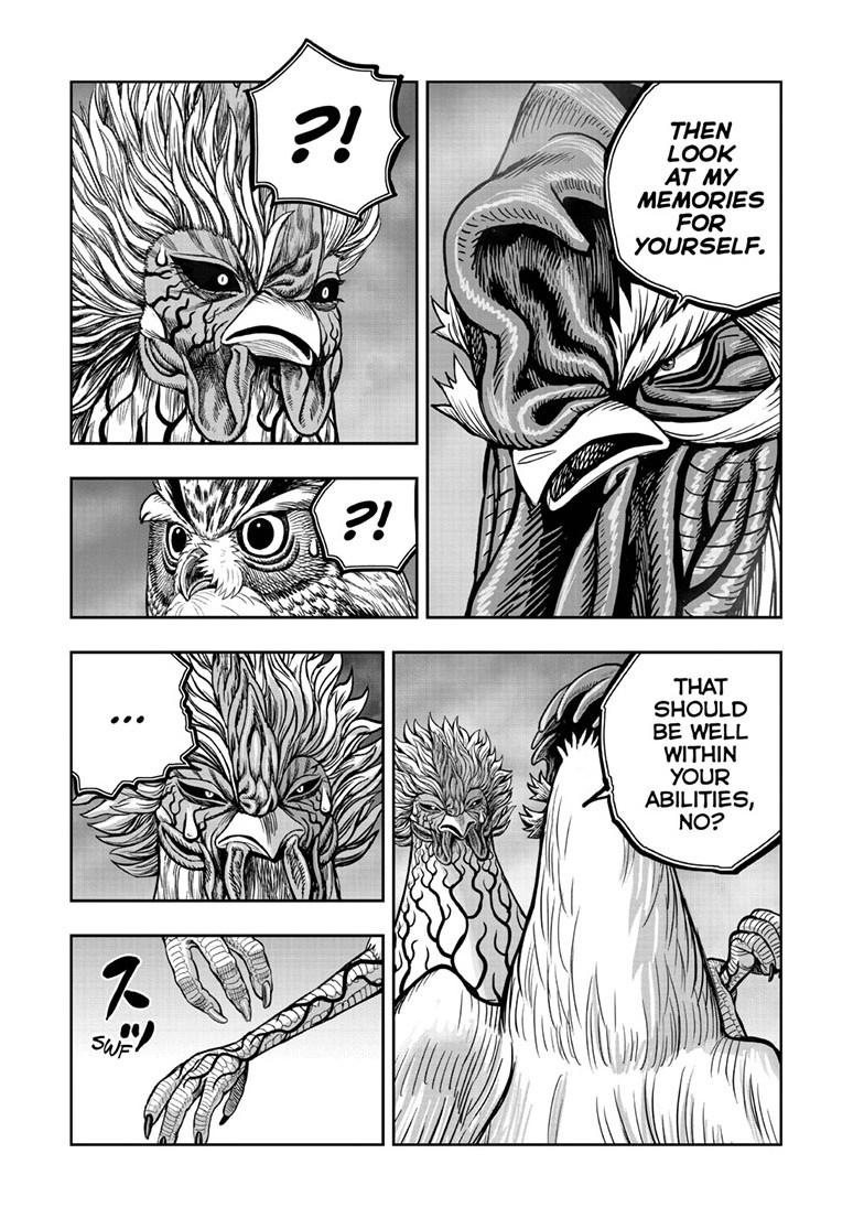 Read Rooster Fighter Manga Online