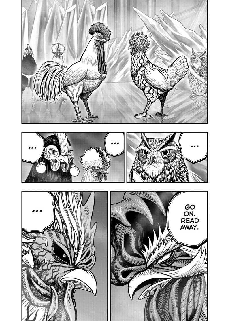 Read Rooster Fighter Manga Online