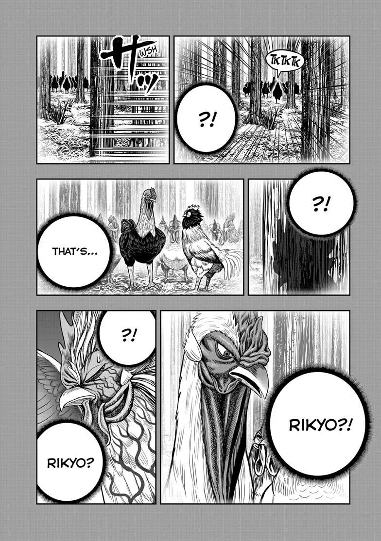 Read Rooster Fighter Manga Online