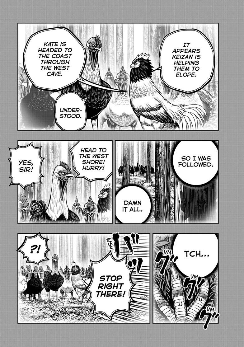 Read Rooster Fighter Manga Online