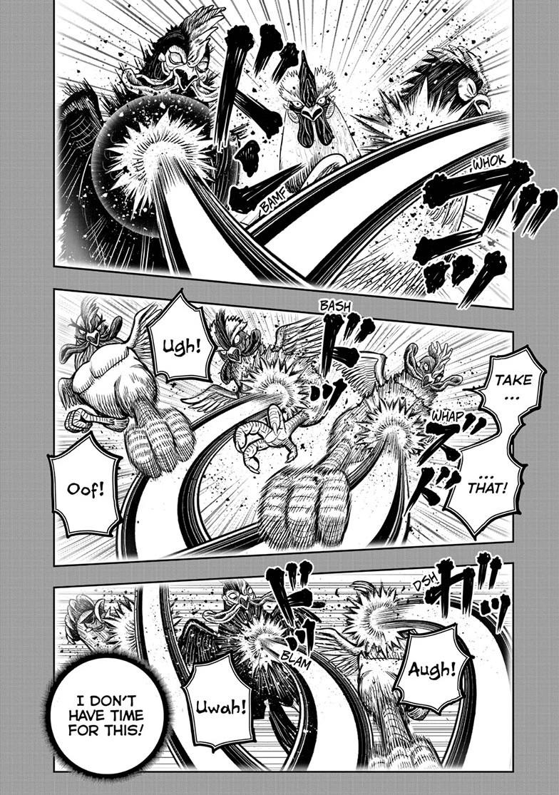Read Rooster Fighter Manga Online