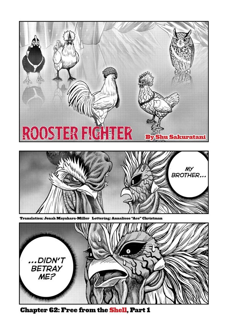 Read Rooster Fighter Manga Online
