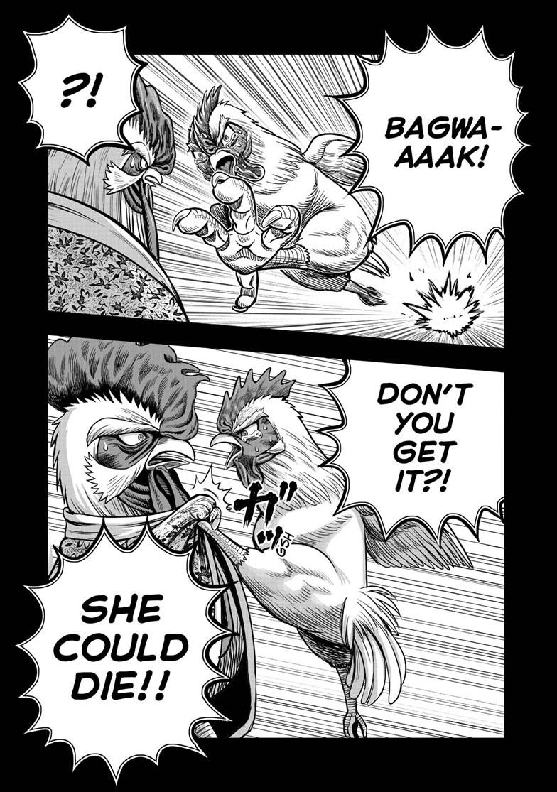 Read Rooster Fighter Manga Online