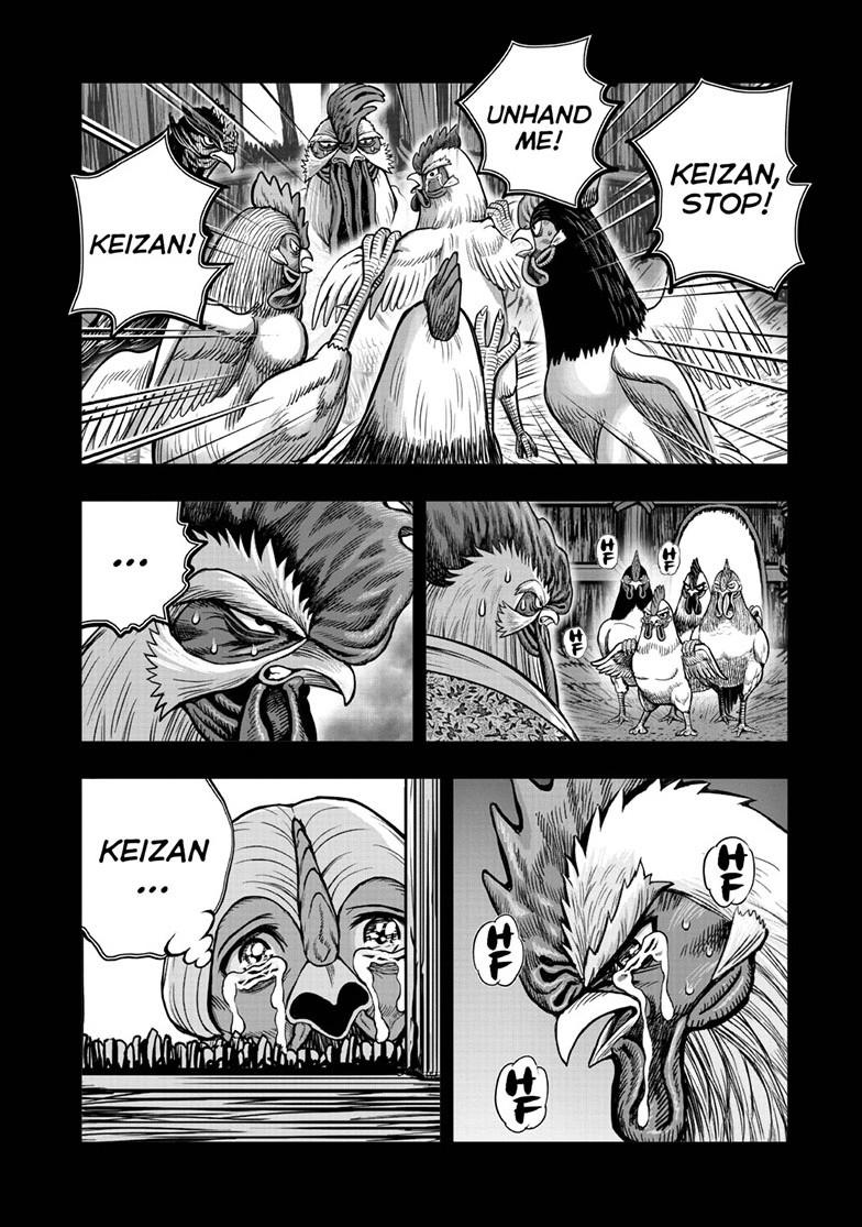 Read Rooster Fighter Manga Online