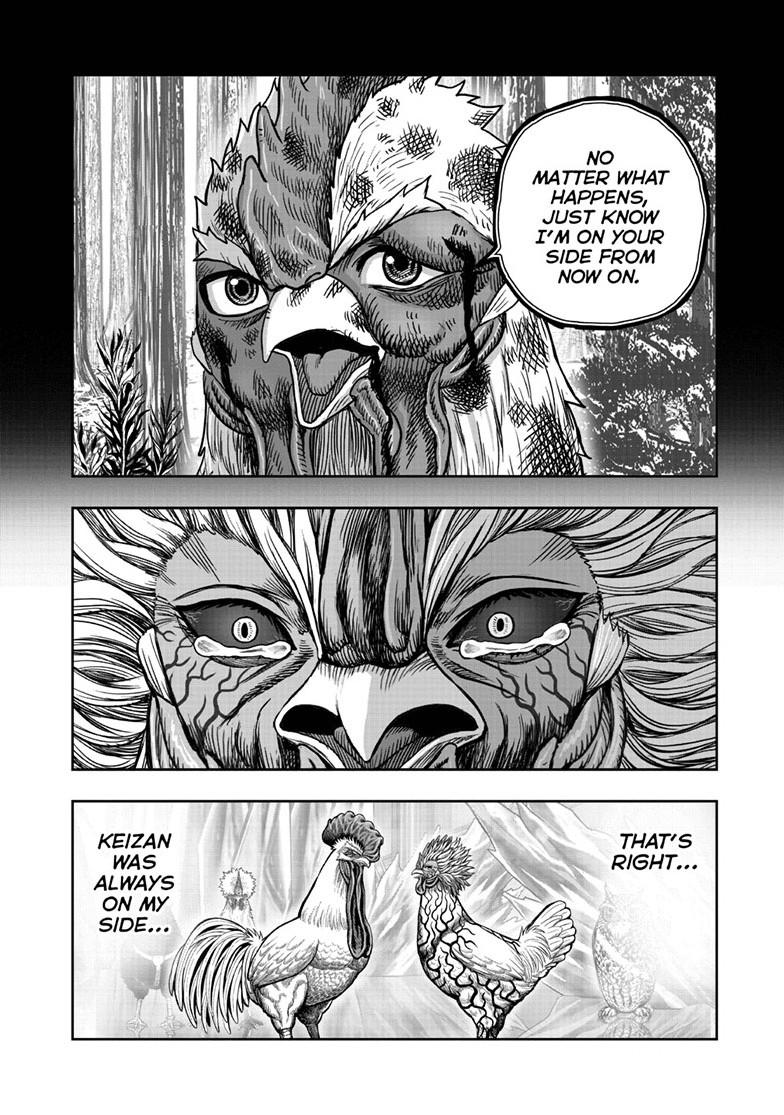 Read Rooster Fighter Manga Online