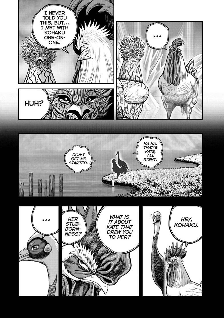 Read Rooster Fighter Manga Online