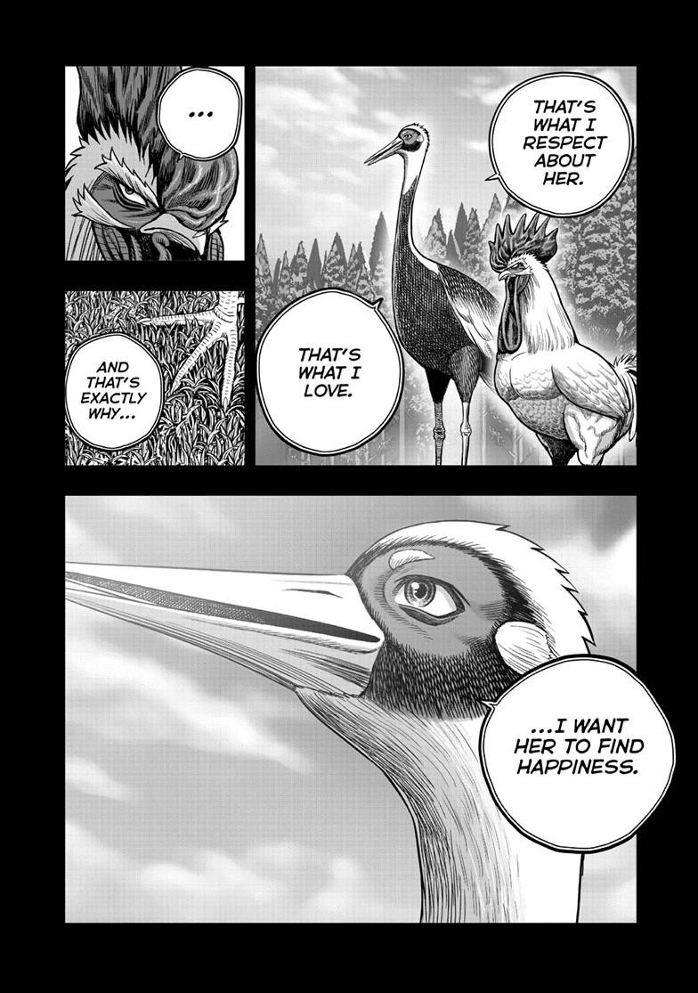 Read Rooster Fighter Manga Online
