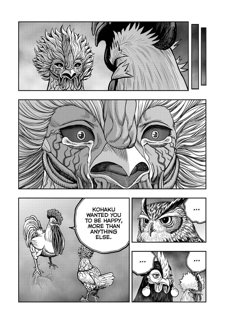 Read Rooster Fighter Manga Online