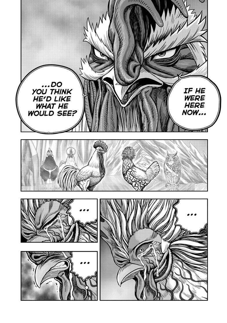 Read Rooster Fighter Manga Online