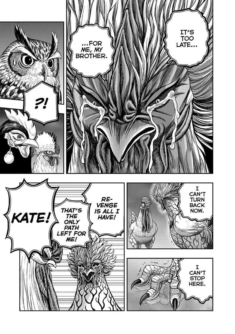 Read Rooster Fighter Manga Online