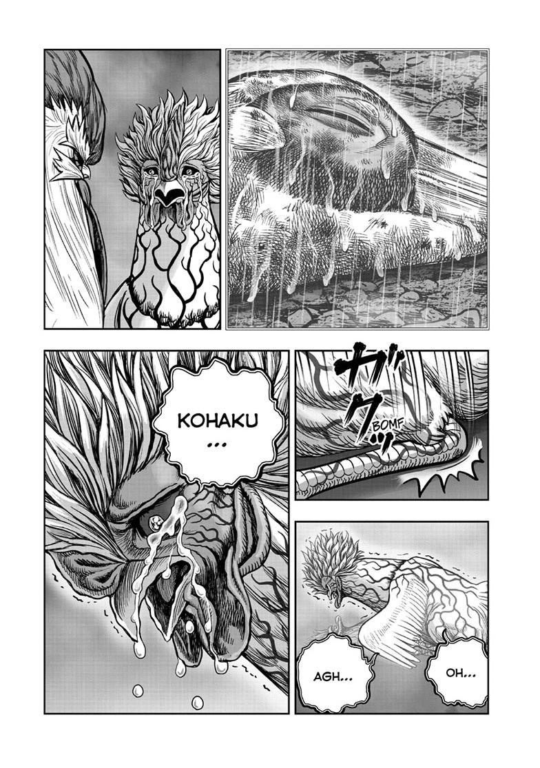 Read Rooster Fighter Manga Online