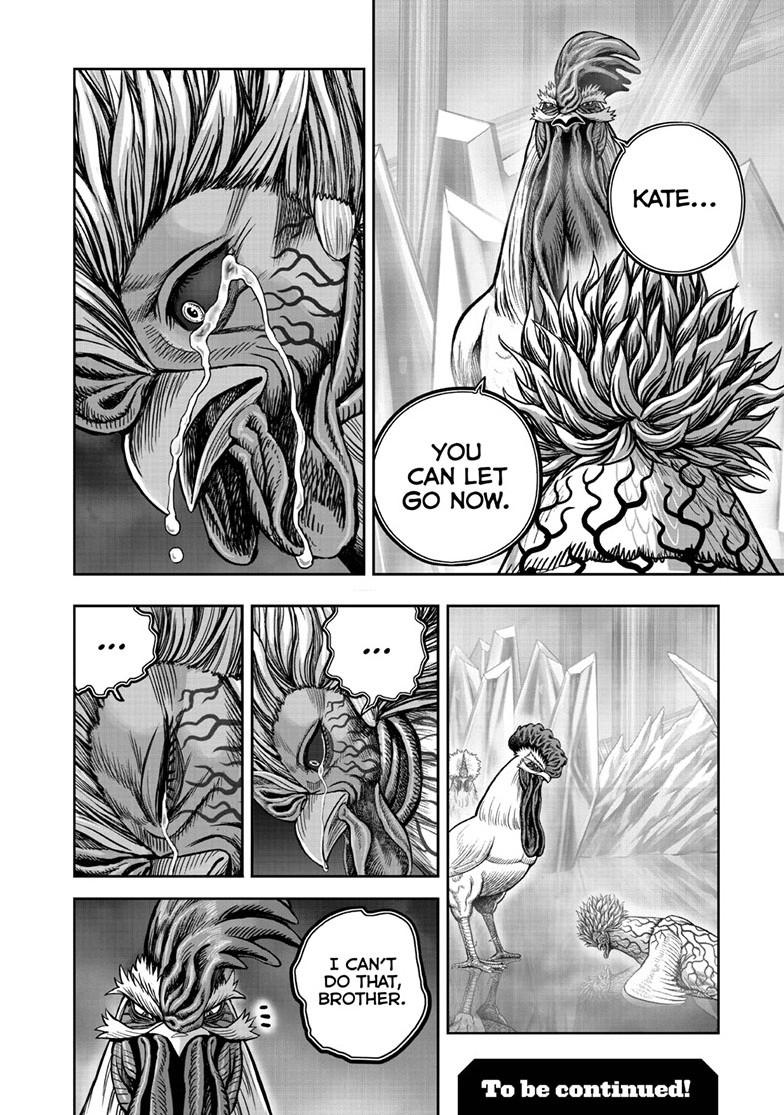 Read Rooster Fighter Manga Online