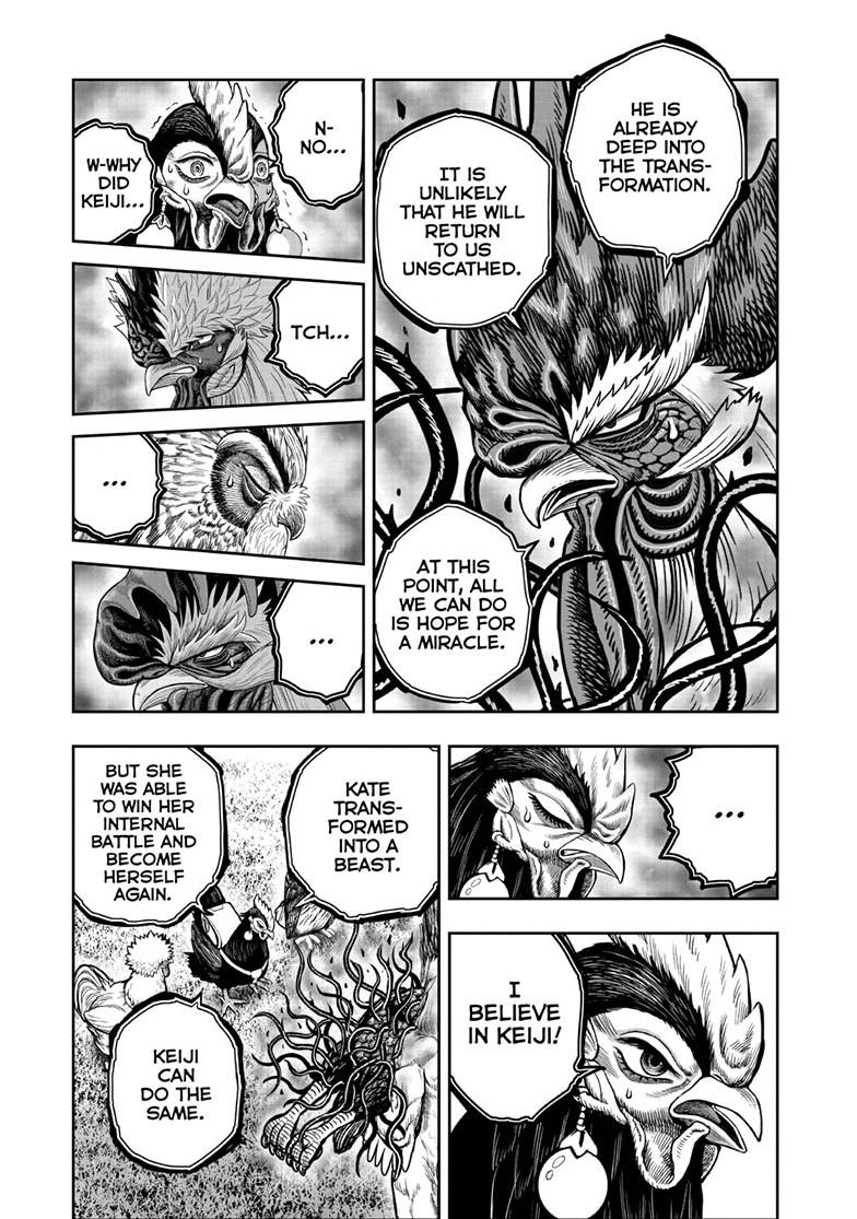 Read Rooster Fighter Manga Online