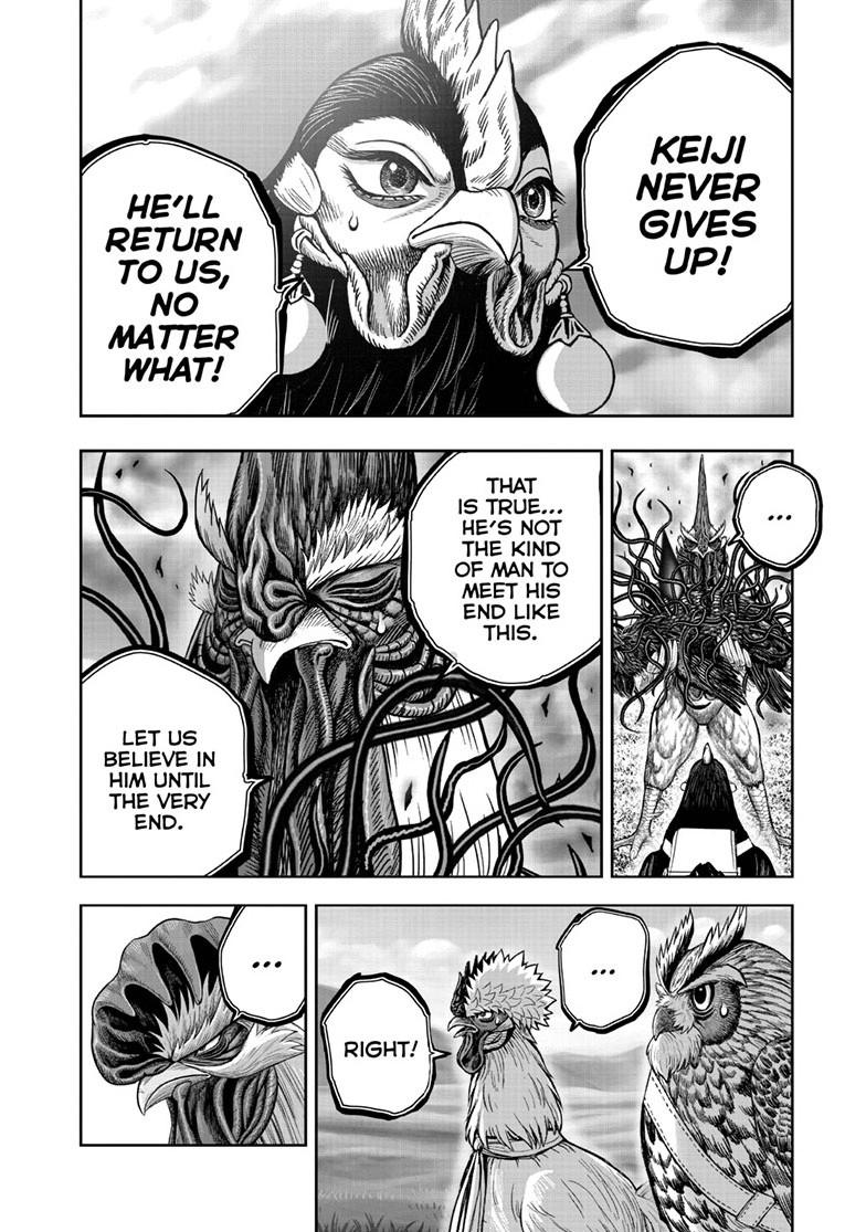 Read Rooster Fighter Manga Online