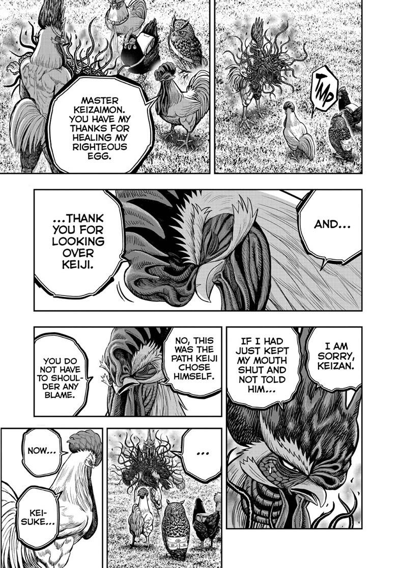 Read Rooster Fighter Manga Online