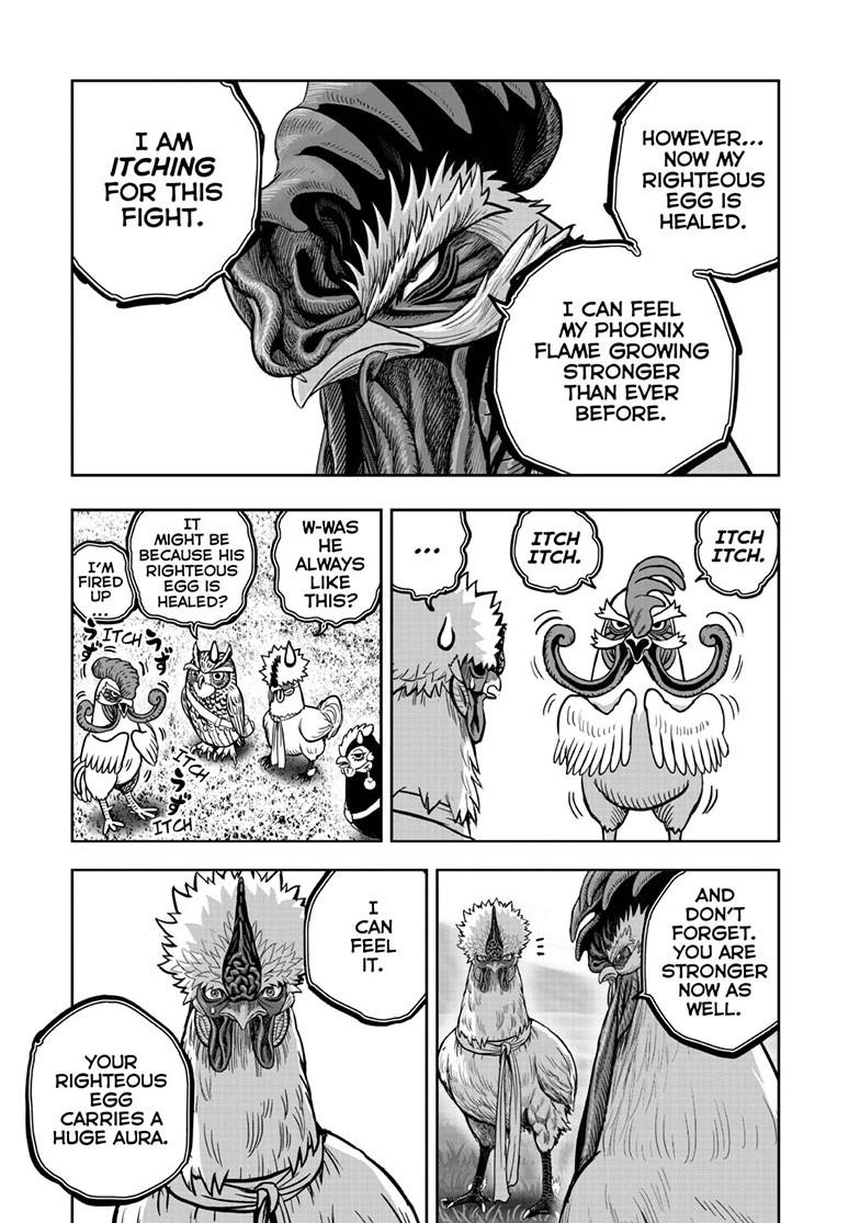 Read Rooster Fighter Manga Online