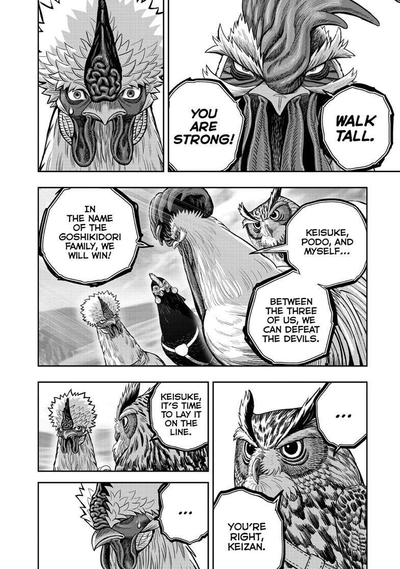 Read Rooster Fighter Manga Online