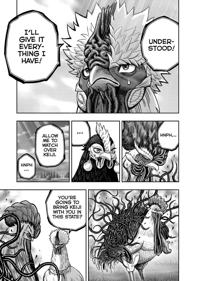 Read Rooster Fighter Manga Online