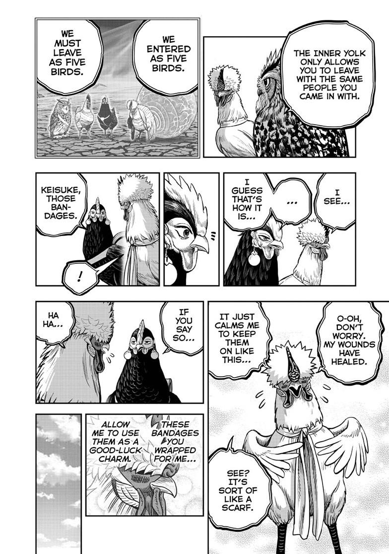 Read Rooster Fighter Manga Online