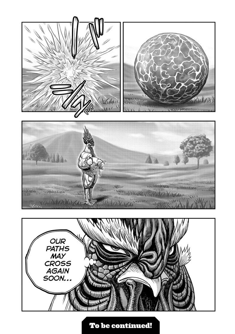 Read Rooster Fighter Manga Online