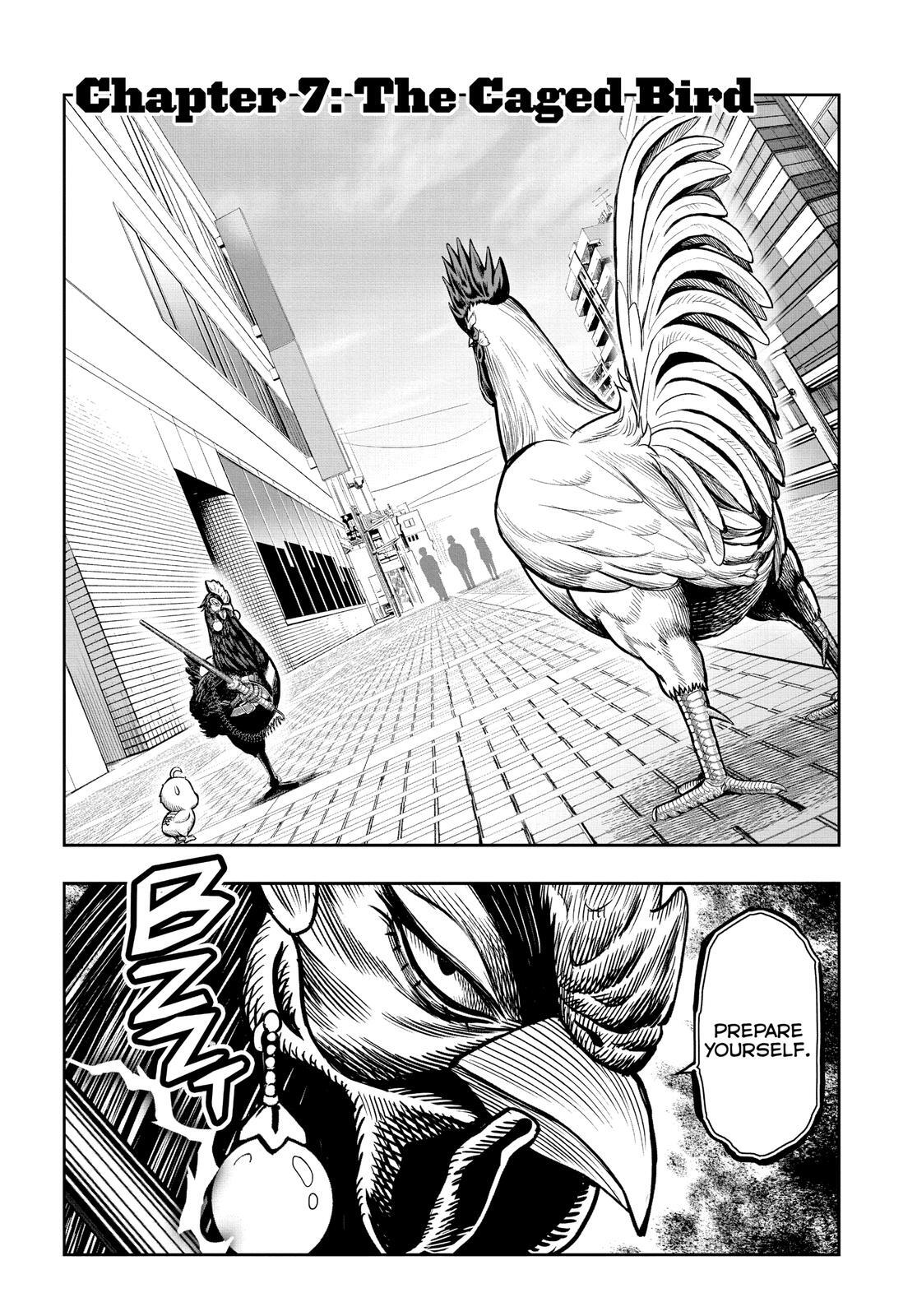 Read Rooster Fighter Manga Online