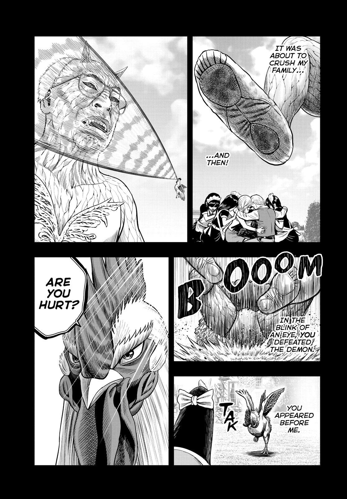 Read Rooster Fighter Manga Online