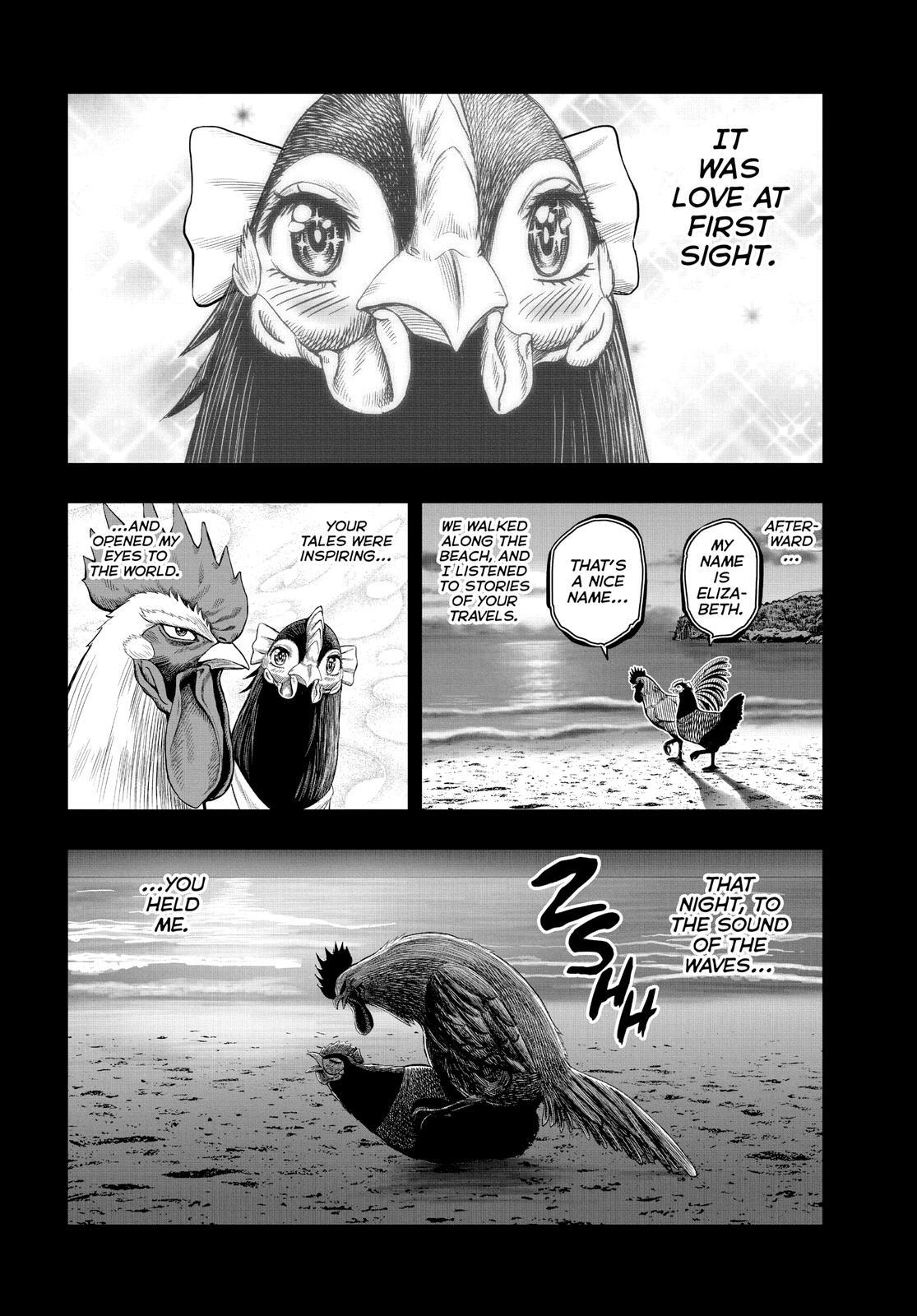Read Rooster Fighter Manga Online
