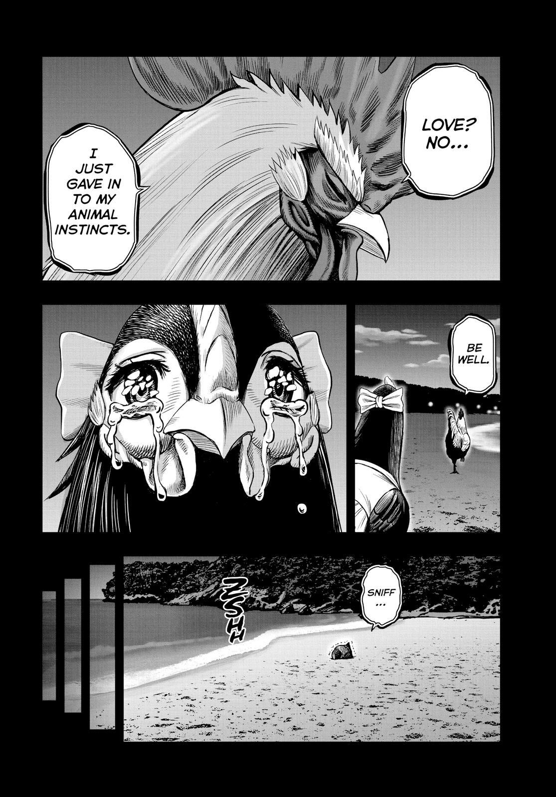 Read Rooster Fighter Manga Online