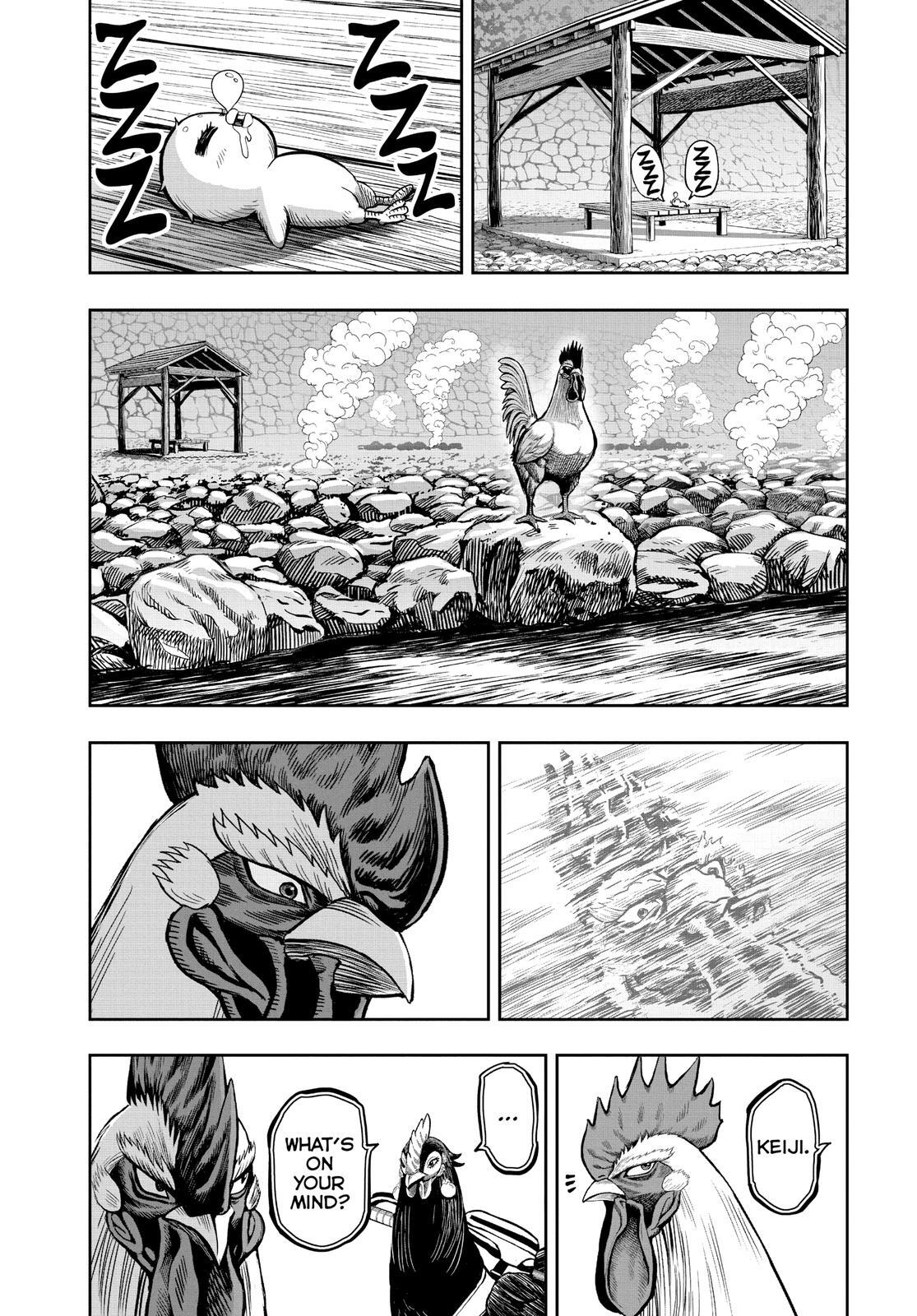 Read Rooster Fighter Manga Online