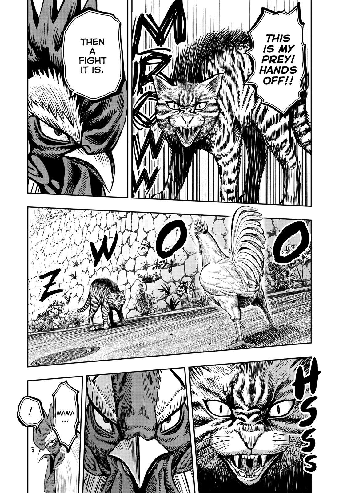 Read Rooster Fighter Manga Online