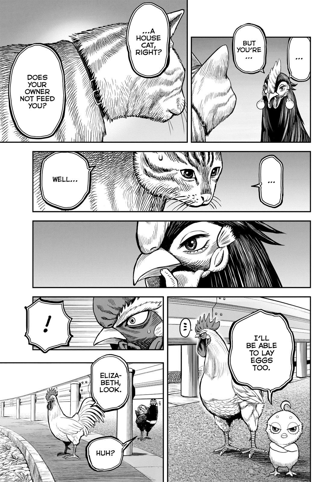 Read Rooster Fighter Manga Online