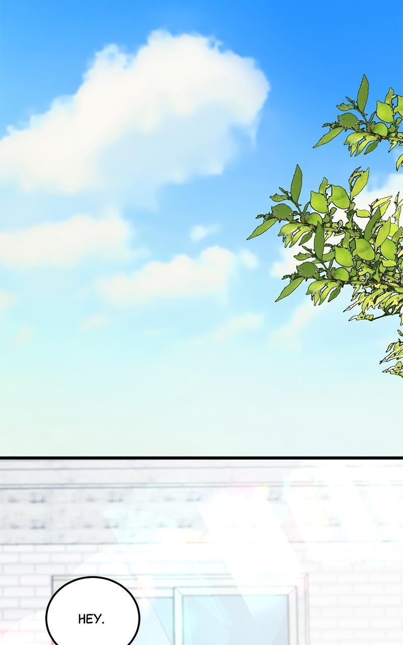 Read Rules For Dating Trash Manga Online