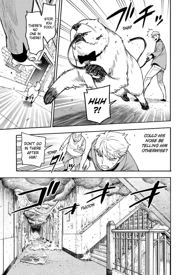 Read Spy x Family Manga Online