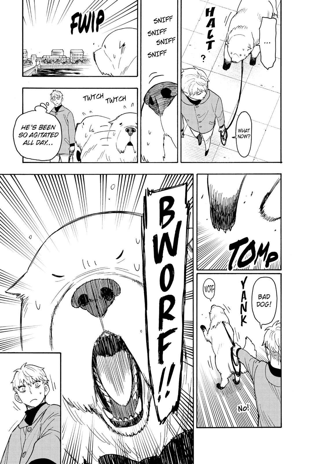Read Spy x Family Manga Online