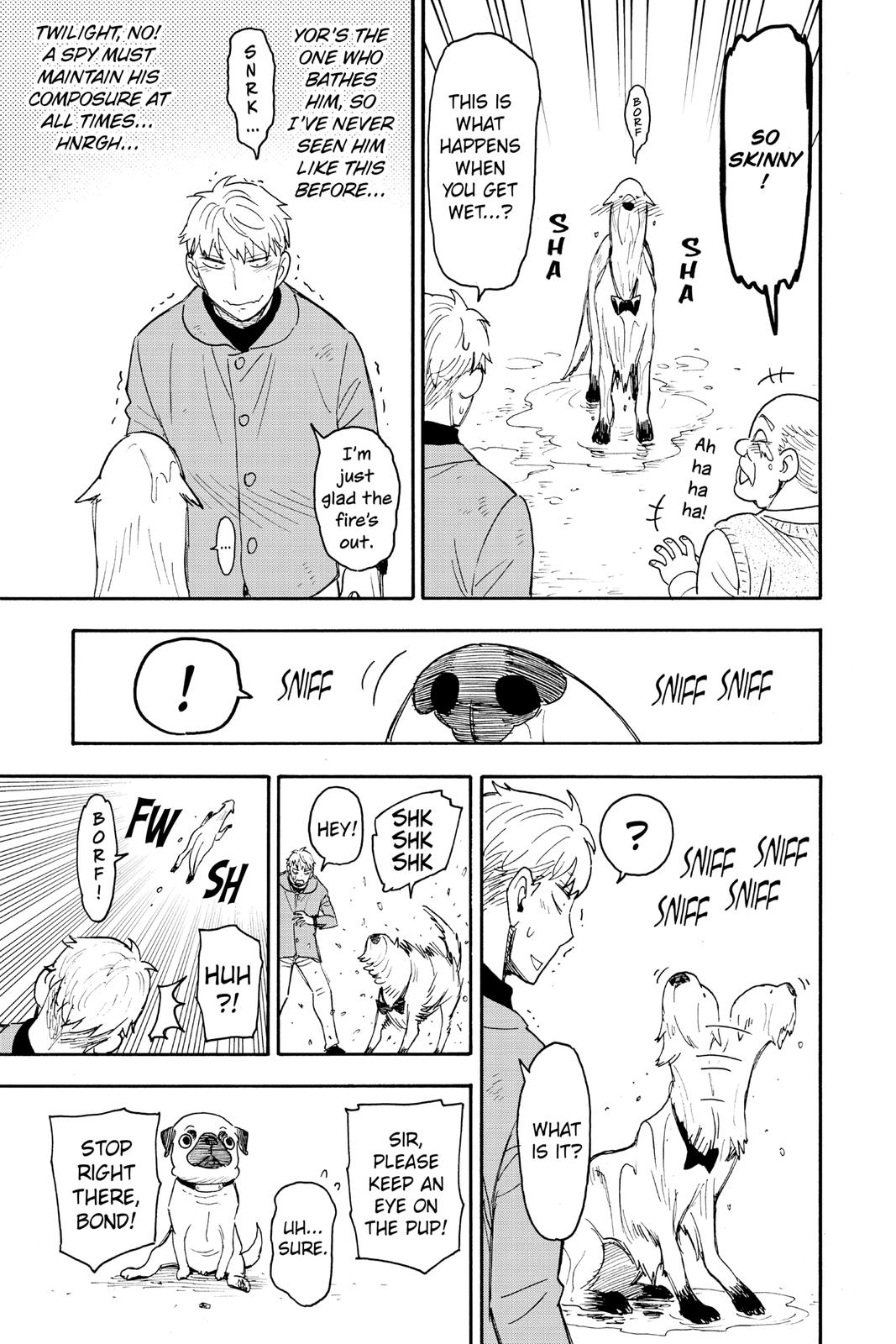 Read Spy x Family Manga Online
