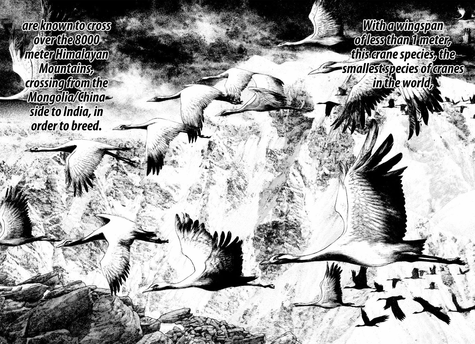 Read The Climber Manga Online