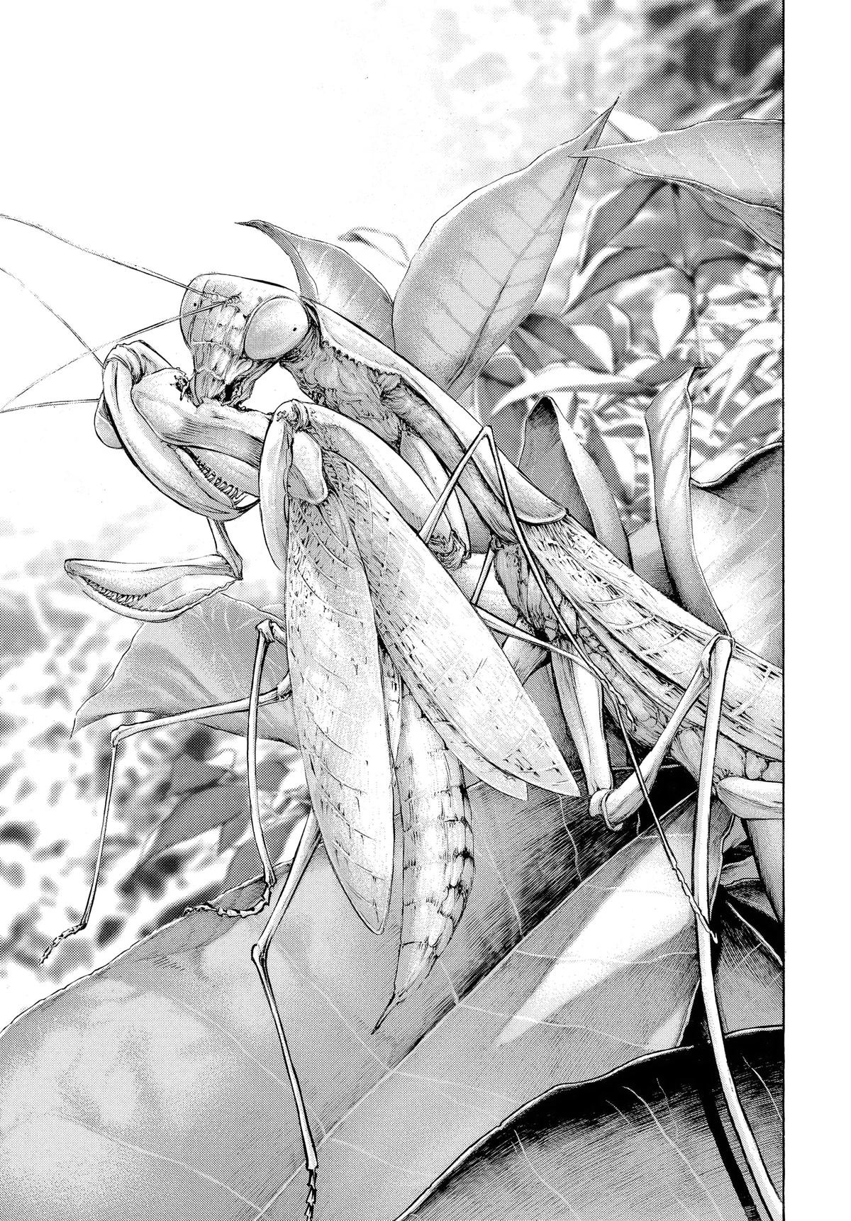 Read The Climber Manga Online