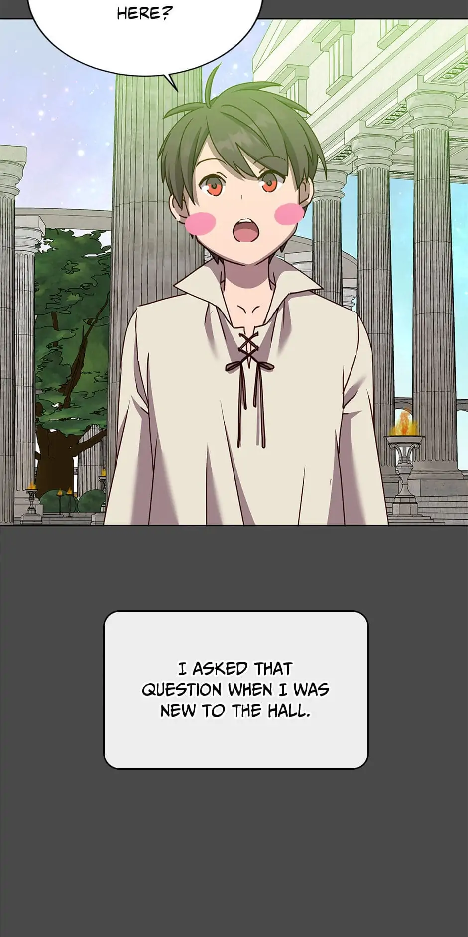 Read The Max Level Hero Strikes Back Manga Online