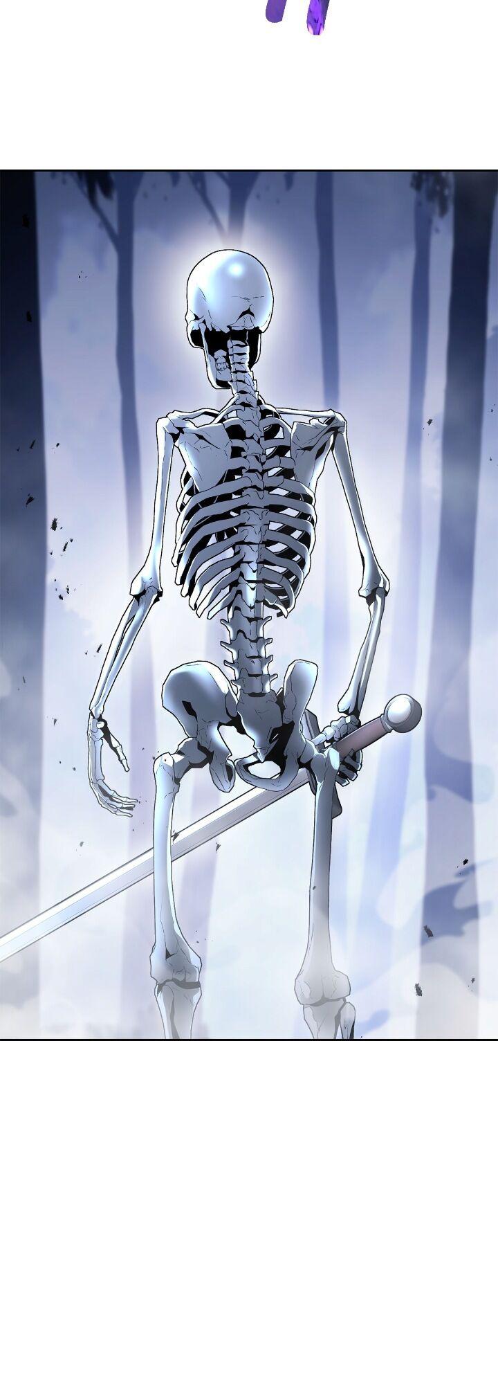 Read The Skeleton Soldier Failed to Defend the Dungeon Manga Online