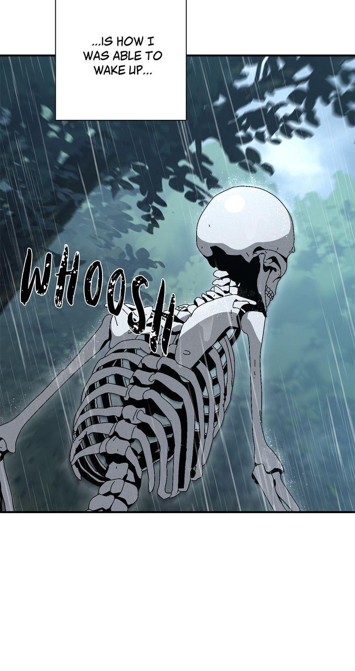 Read The Skeleton Soldier Failed to Defend the Dungeon Manga Online