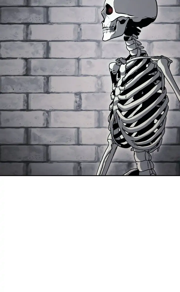 Read The Skeleton Soldier Failed to Defend the Dungeon Manga Online