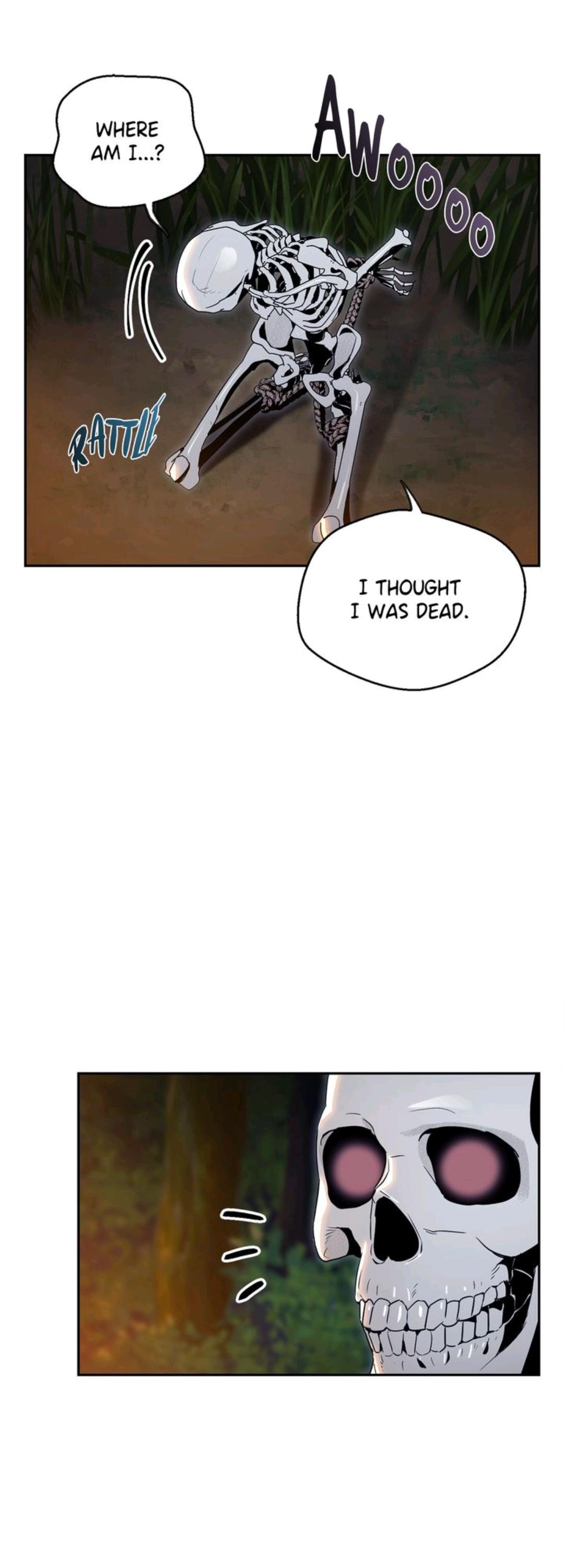 Read The Skeleton Soldier Failed to Defend the Dungeon Manga Online