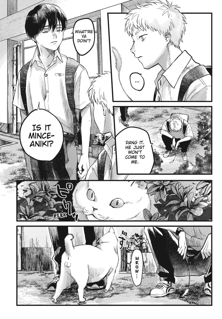 Read The Summer Hikaru Died Manga Online