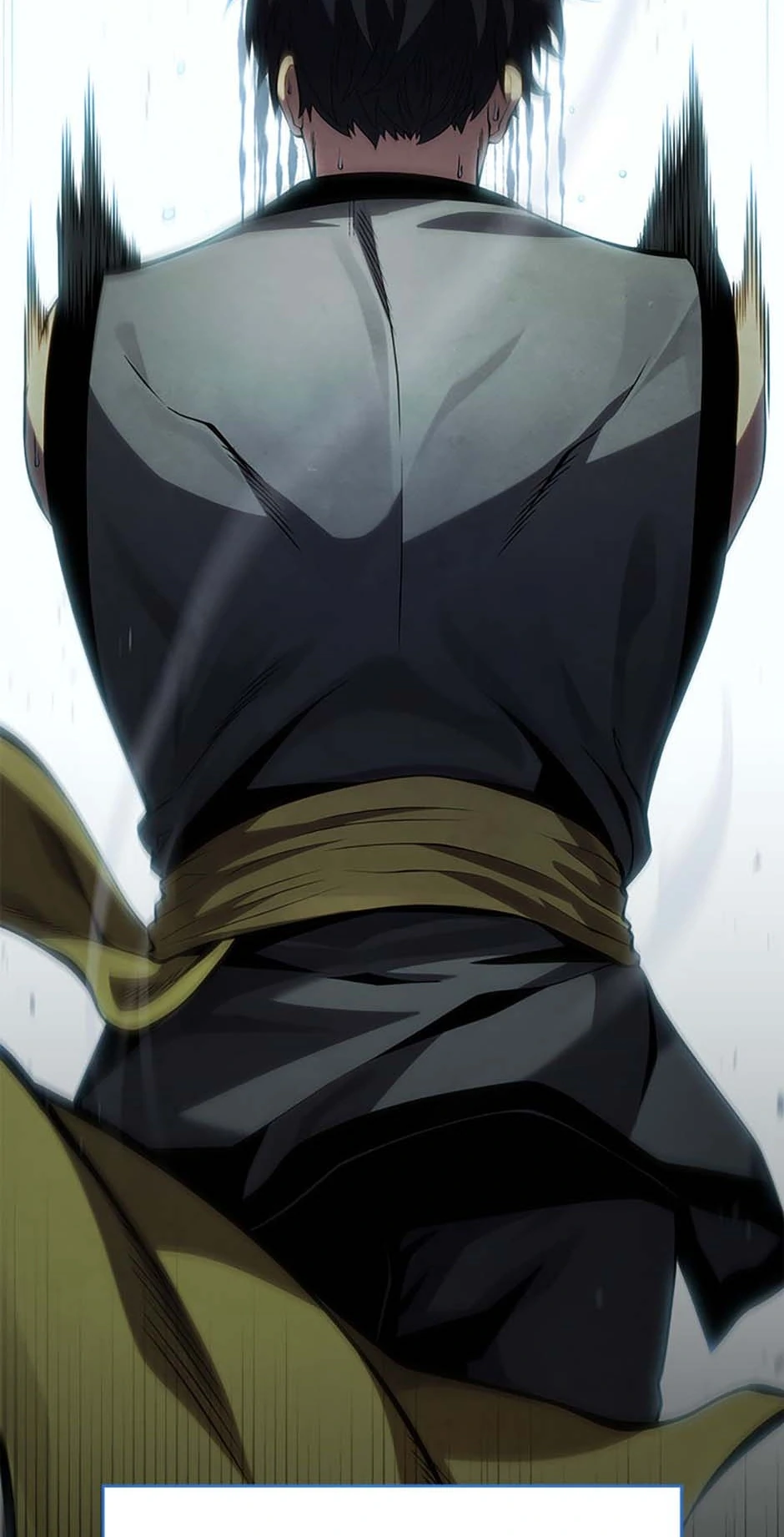 Read The Swordmaster's Son Manga Online