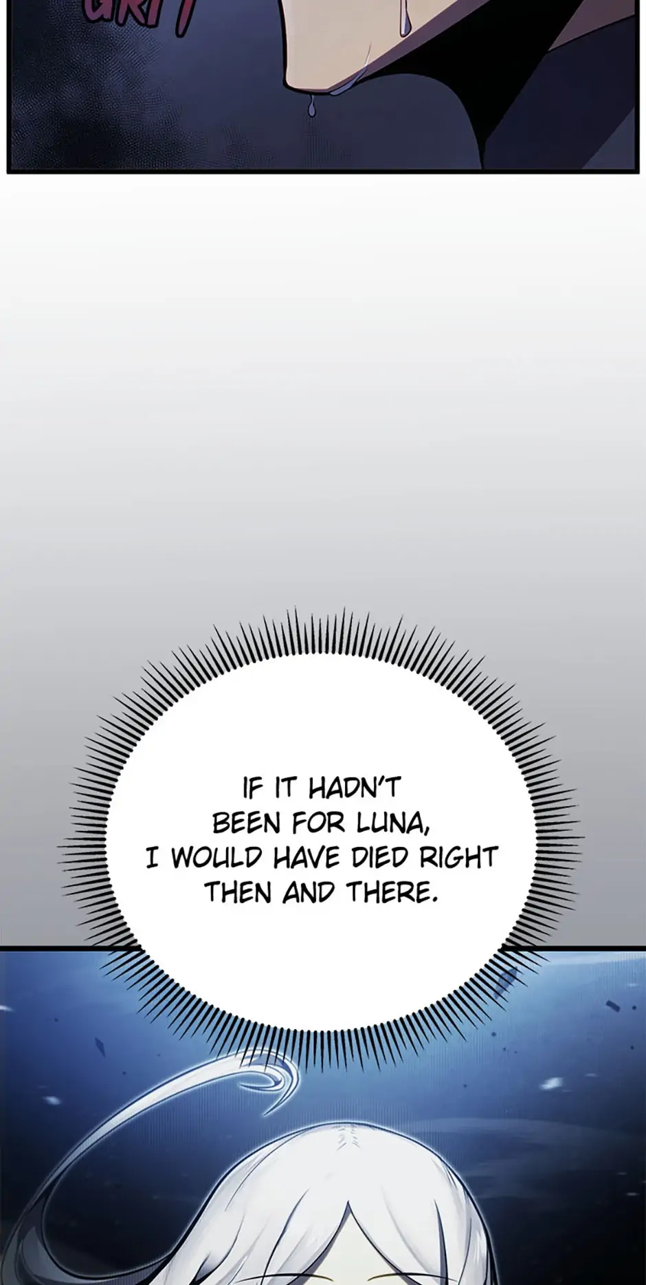 Read The Swordmaster's Son Manga Online
